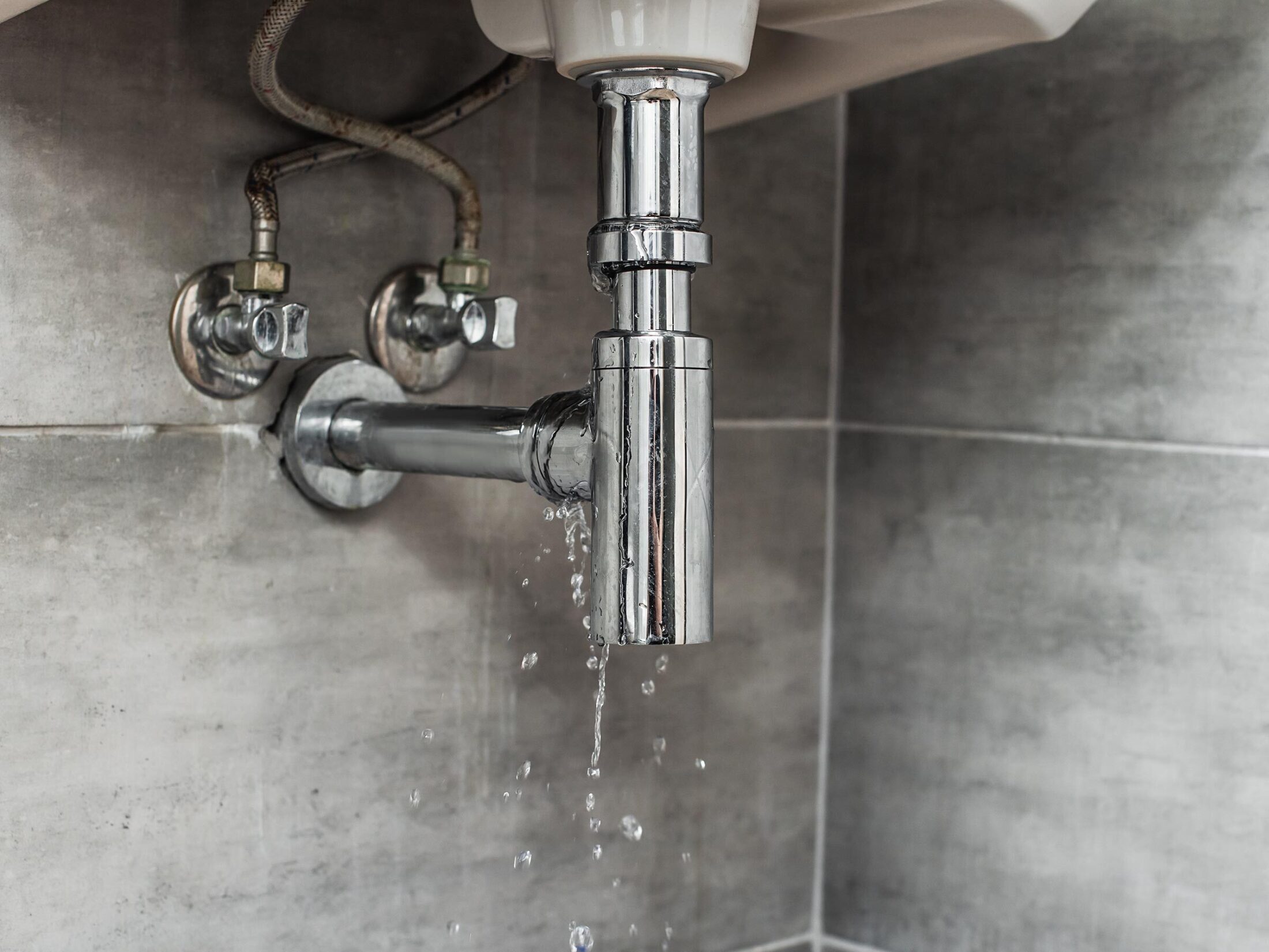 Wasserschadensanierung pfister sanierung ag sursee luzern 02